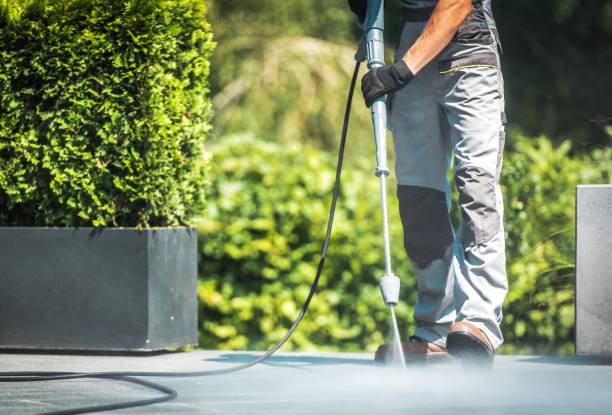 Best Vinyl Siding Pressure Washing in Abram, TX