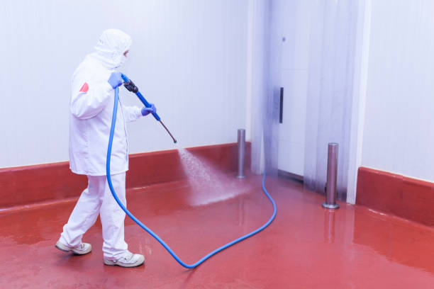 Trusted Abram, TX Pressure Washing Services Experts