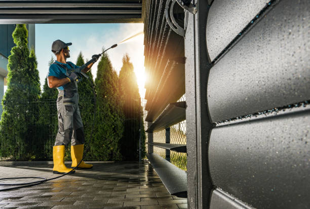 Best Soft Washing for Delicate Surfaces in Abram, TX